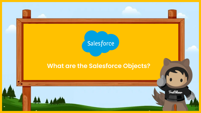 What are the Salesforce Objects?